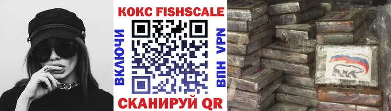 Кокаин Fish Scale  продажа наркотиков  kraken ТОР  Касли 